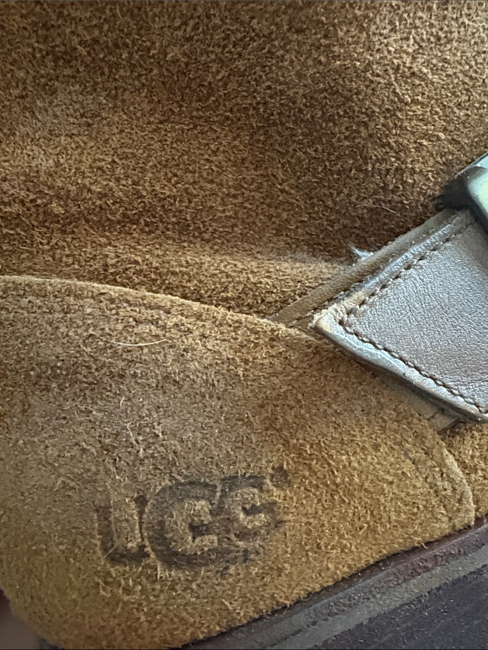 UGG Chestnut Suede Women's Ankle Boots with Buckle Strap - Picture 2 of 12